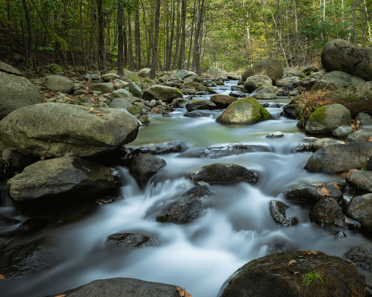 River landscape at Graves Mill