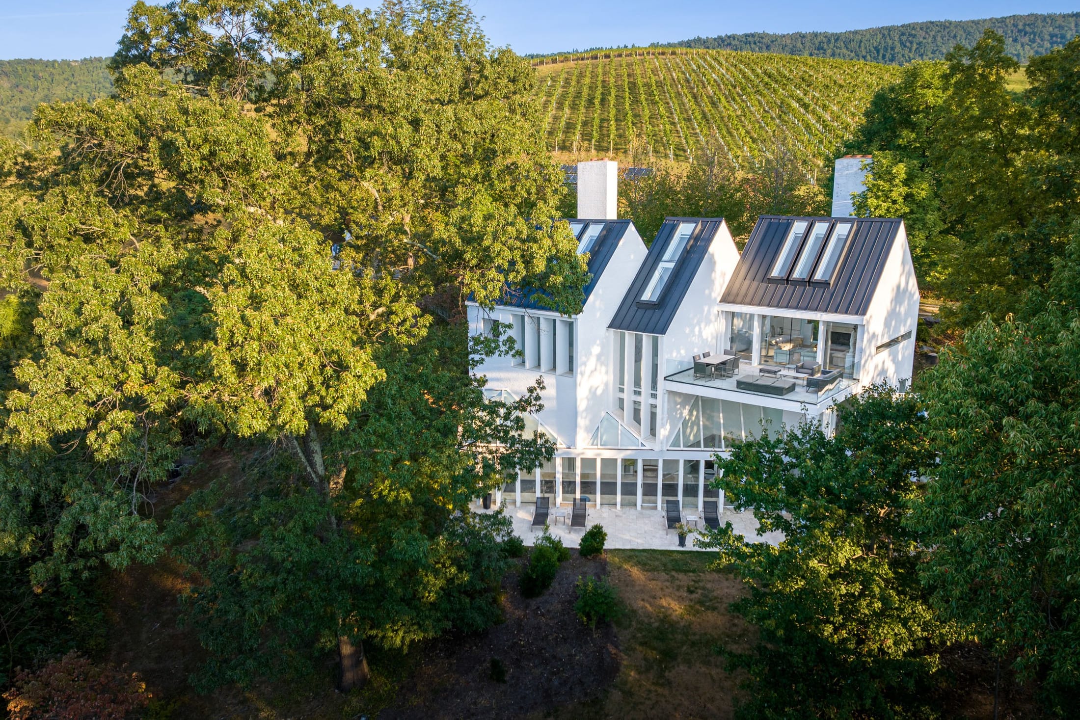 Aerial view of the main house and vineyard at Saddleback Farm